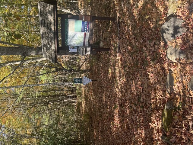 Image 13 for 04) Modern Country Home