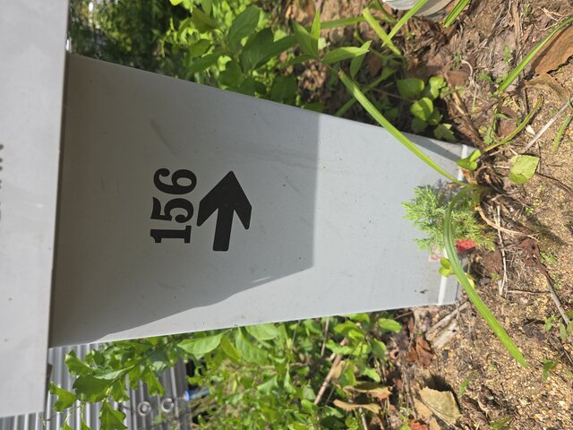 Image 3 for 0156) The Grove RV Site