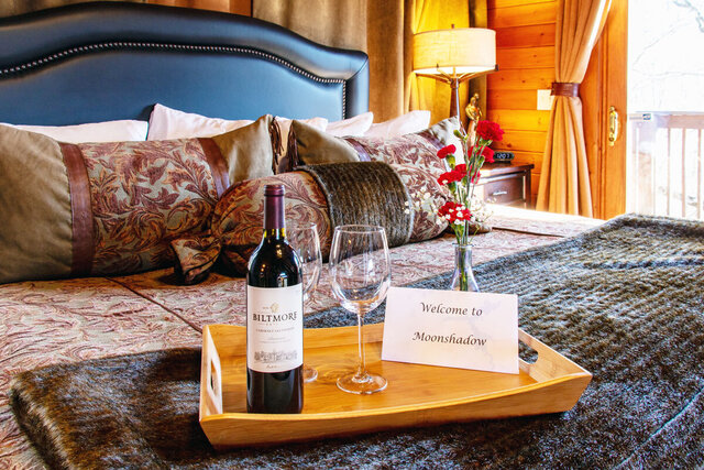 Image 1 for MoonShadow Lakeview Cabin-3 Story Nantahala Lake