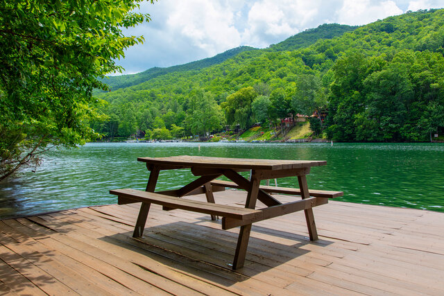 Image 4 for Lakefront Point Retreat on Nantahala Lake w Dock