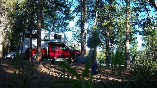 Image 1 for 30 RV site 32ft (unserviced - no power)