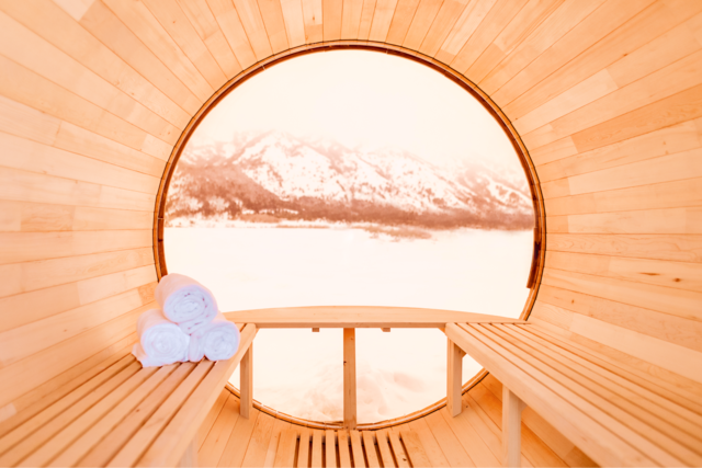 Image 20 for King GeoDomes - Premium View