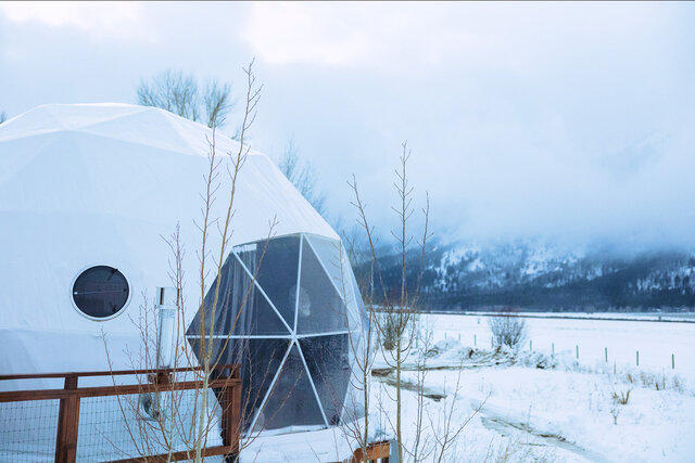 Image 2 for Family GeoDomes