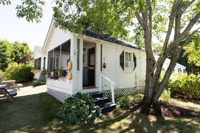 Image 1 for #05 PETUNIA (Studio)