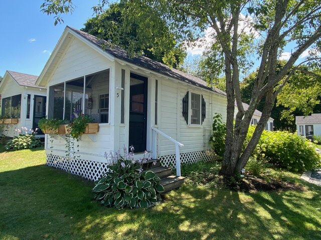 Image 2 for #05 PETUNIA (Studio)