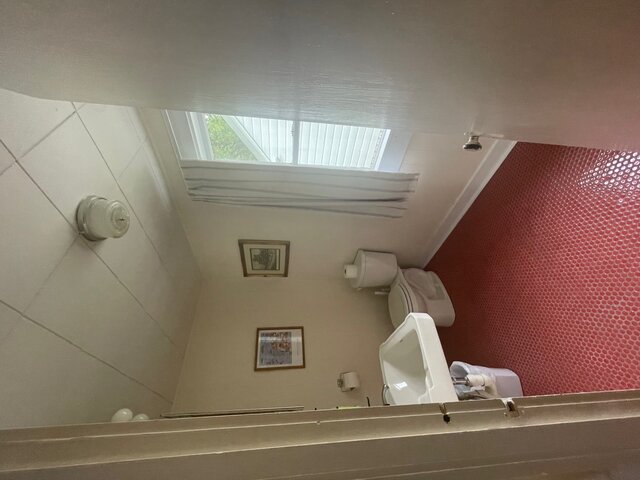 Image 9 for #05 PETUNIA (Studio)