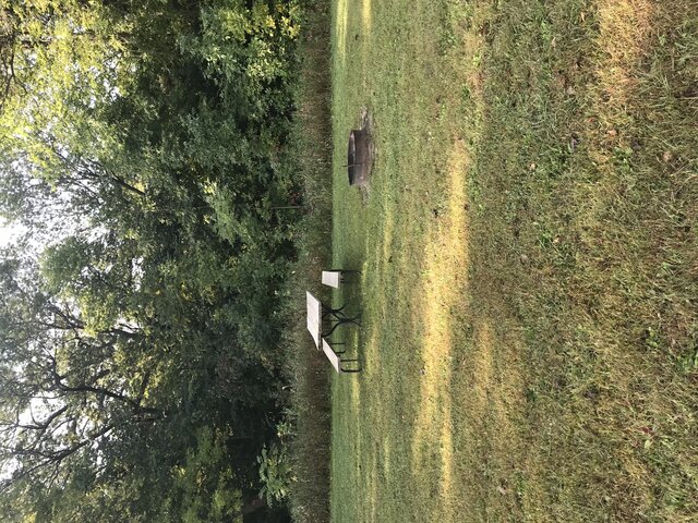 Image 4 for PT02) Primitive Tent Site #2