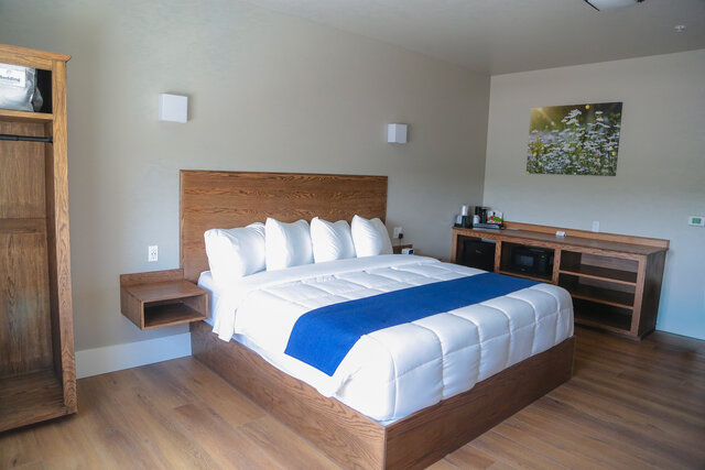 Image 3 for 109) Single King ADA Room