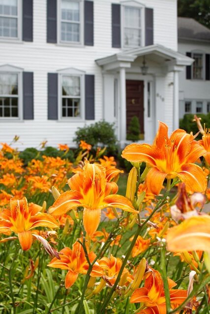 Image 1 for Summer 2025