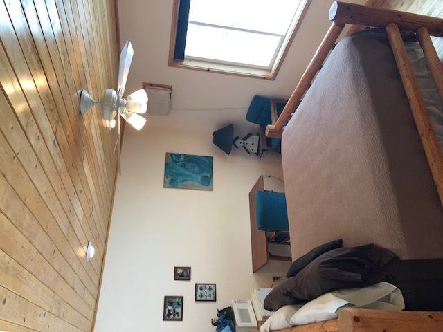 Image for 5) Blue Moo