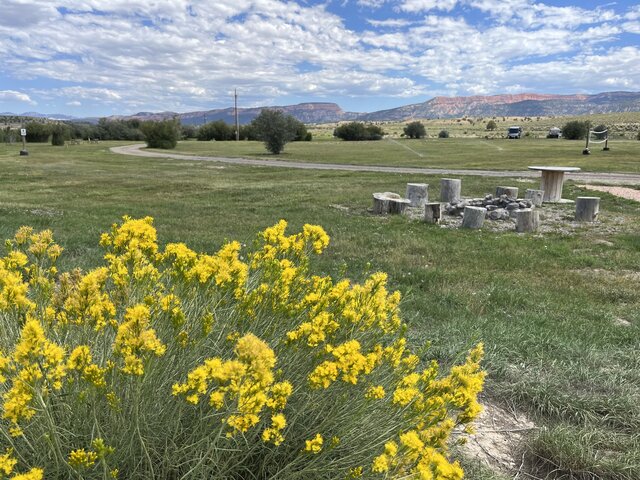 Image 2 for Tent Sites