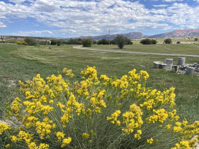 Image 1 for Tent Sites