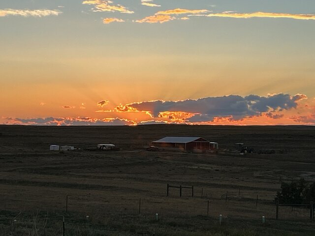 Image 8 for RV Site #4