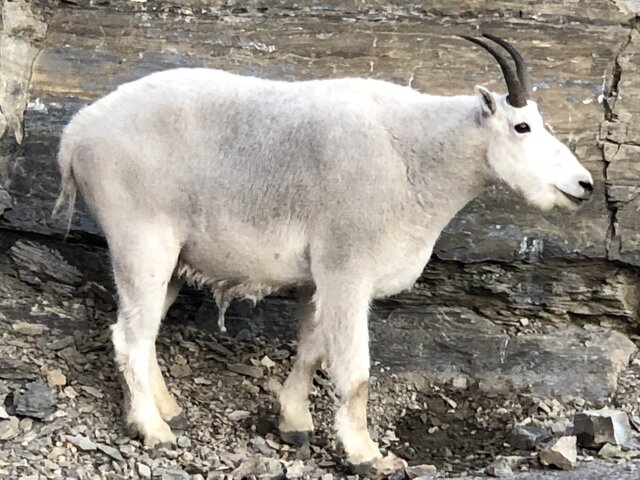 Image 4 for MONTANA BASECAMP 50/30/20 FULL HOOKUP SUNSET