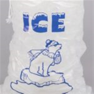 Image for Ice