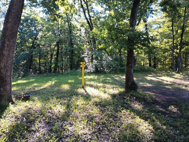 Image 1 for 014) Tent Sites