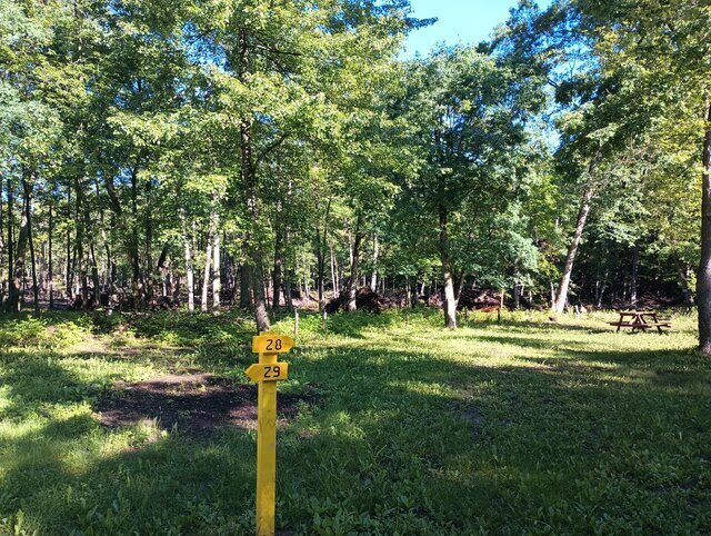 Image 1 for 028) Tent Sites