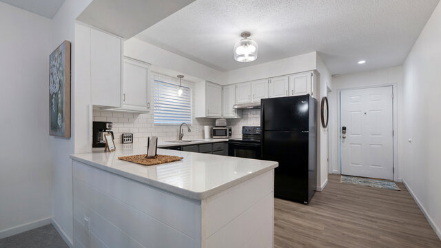 Image 8 for Lazy Daze