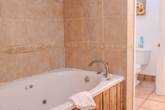 Image 4 for B1 Catalina Room-K w/Sofa Sleeper-Pet Friendly