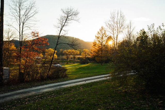 Image 1 for 54 Tiny Home | School bus with Bedroom and Sauna