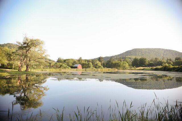 Image 1 for 01 ( 1 bedroom Cozy Cottage with Hottub