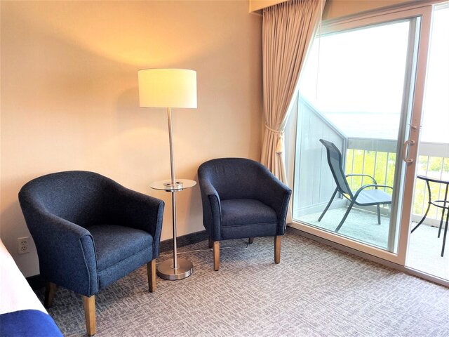 Image 4 for Premier King Room