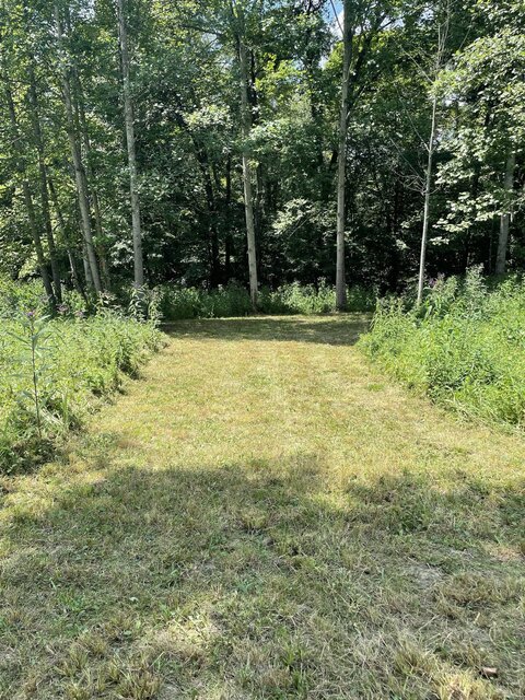 Image 4 for Primitive Camping #58