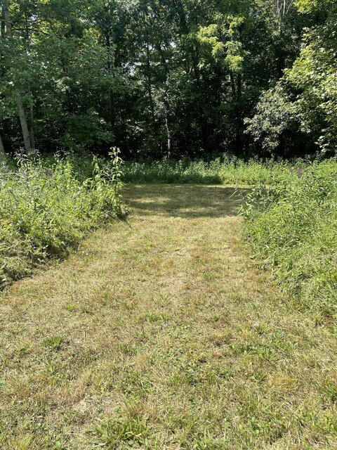 Image 2 for Primitive Camping #57