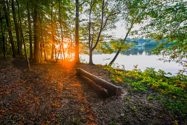 Image 11 for Uguisu Log Cabin #119