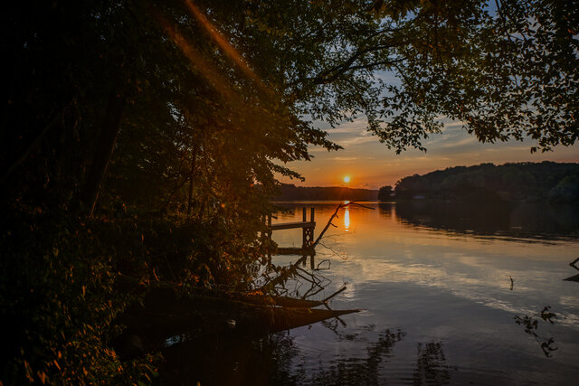 Image 11 for Loon Log Cabin #110