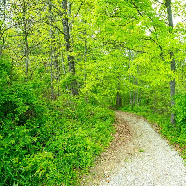 Image 21 for Full Hook-Up Back-In RV Site #4