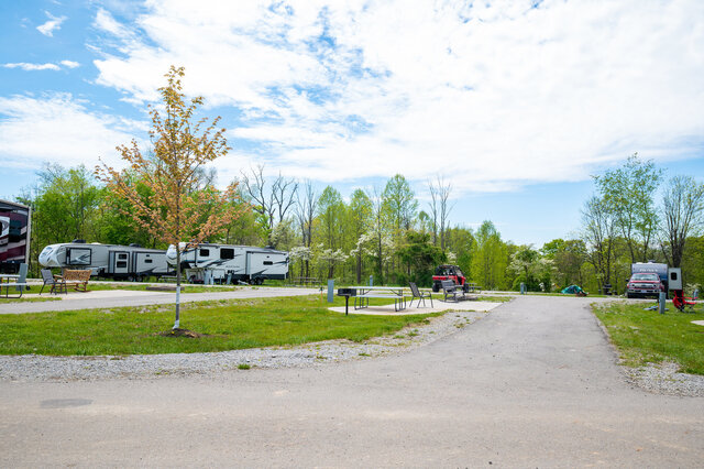 Image 5 for Deluxe Full Hook-Up Pull-thru RV Site #20