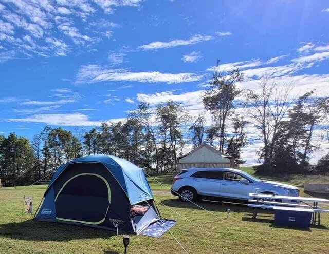 Image 2 for Electric Tent Site #98