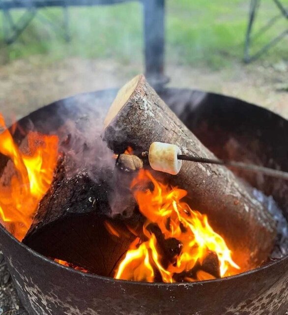 Image 8 for Electric Tent Site #71