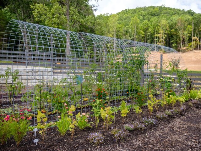 Image 18 for 2 Bunk Glamping Cabins