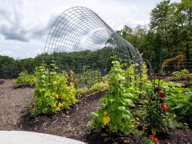 Image 13 for 2 Bunk Glamping Cabins