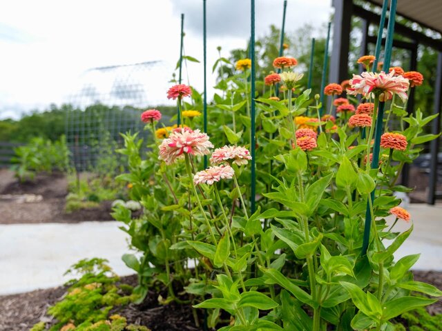 Image 17 for 2 Bunk Glamping Cabins