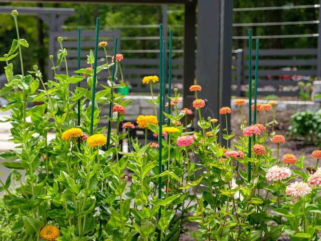 Image 16 for 2 Bunk Glamping Cabins