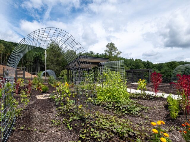 Image 11 for Bearly Behaving - Couples Glamping Cabin