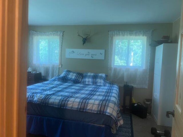 Image 4 for Dragonfly Cabin, sauna, wildlife