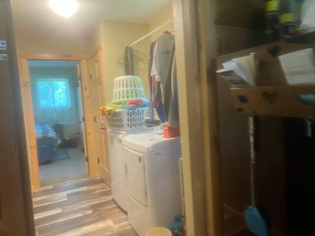 Image 6 for Dragonfly Cabin, sauna, wildlife