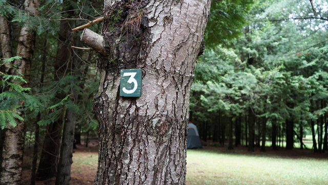 Image 12 for 003) Full Private RV/Tent Site