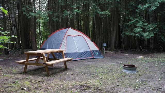 Image 4 for 043) Full Private - Tent / RV Site