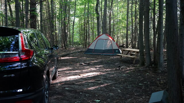 Image 3 for 039) Full Private Tent Site
