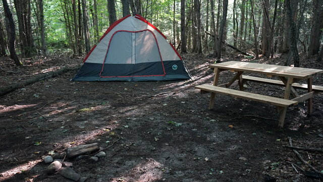 Image 1 for 041) Full Private Tent Site