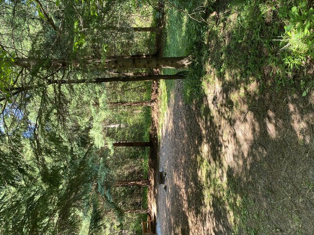 Image 8 for 032) Cabin