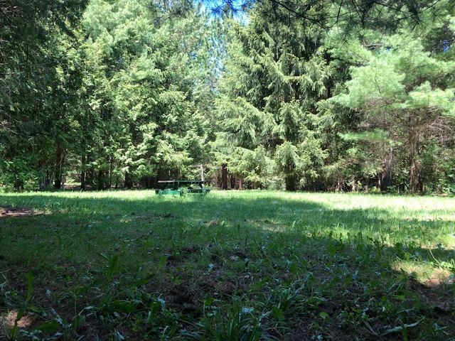 Image 1 for 047) Full Private Tent Site