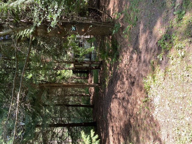 Image 6 for 028) Cabin