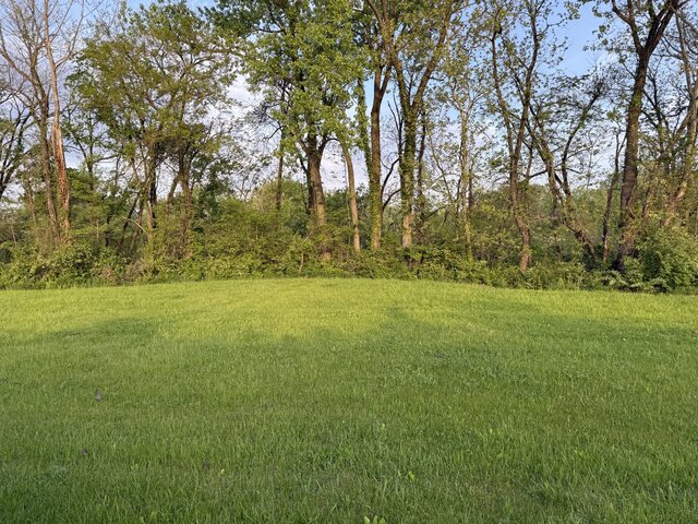 Image 5 for Group Site – Half Acre (Primitive, Max 16)