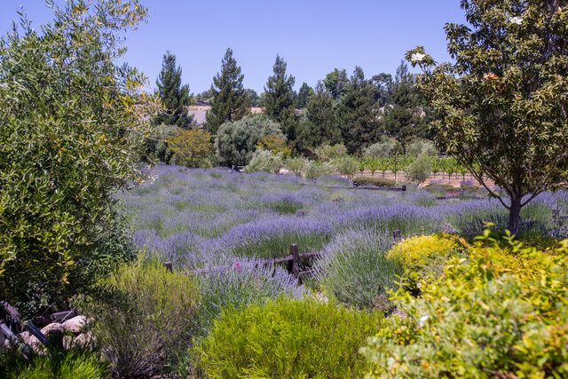 Image 5 for Briarwood Cottage + Apartment